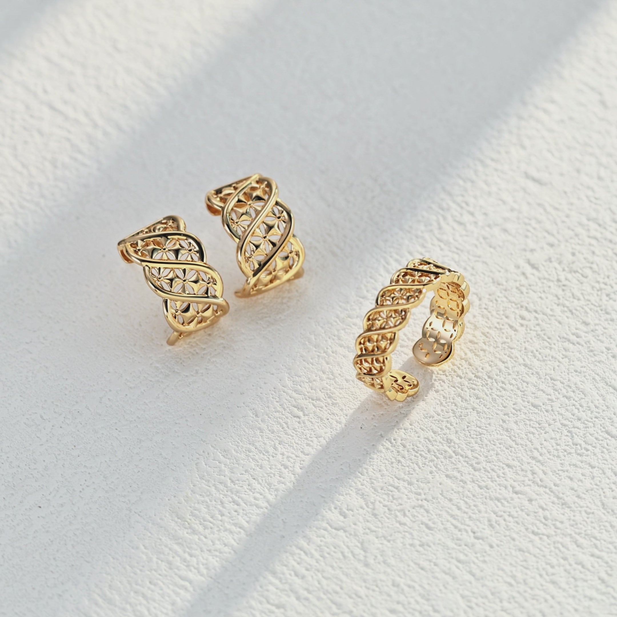 S925 Twisted Totem — Modernized Chinese Motif Ring & Earrings